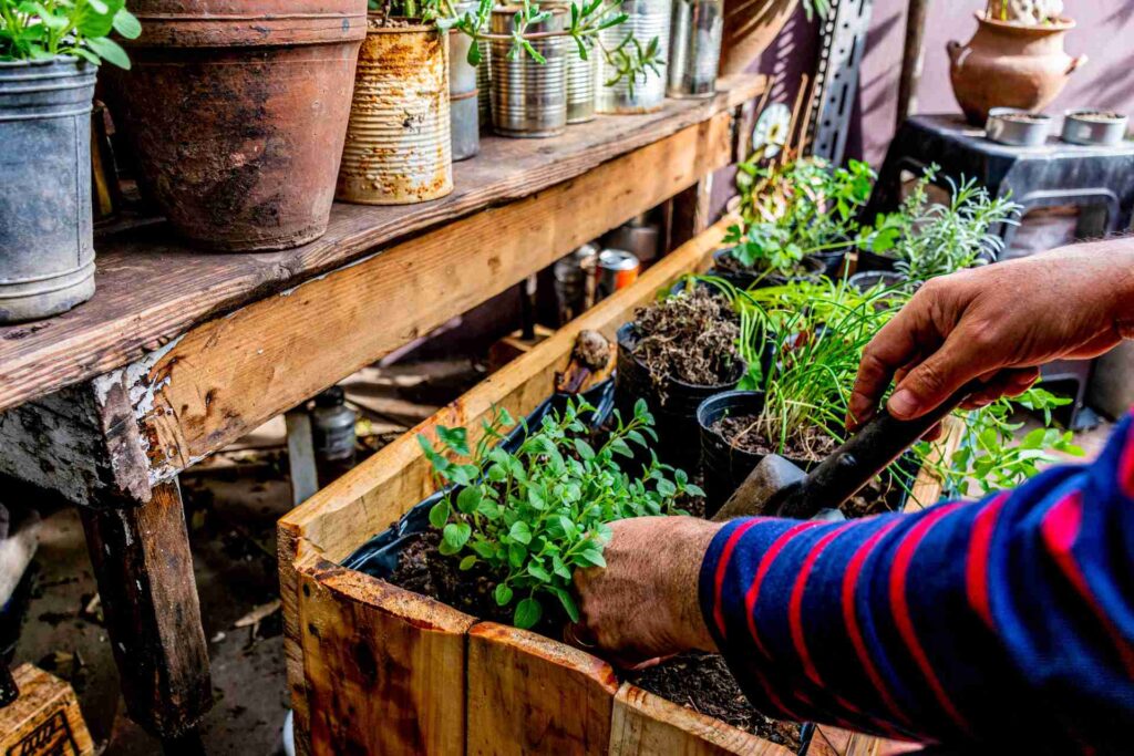 jardin urbain