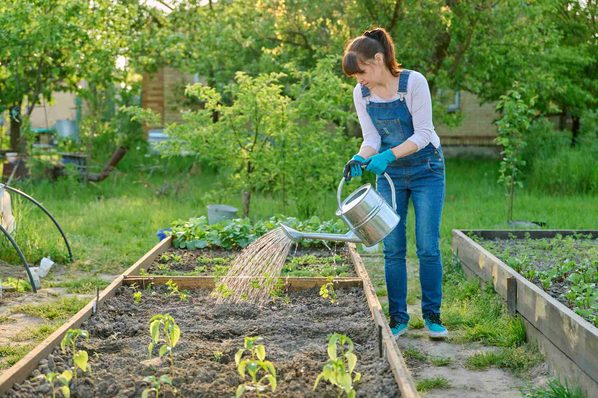 comment-cr-er-un-potager-bio-jardinpropre